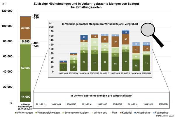 Darstellung der Höchstmengen sowie der gemeldeten in Verkehr gebrachten Saatgutmengen (deutlich vergrößert dargestellt) von Erhaltungssorten 